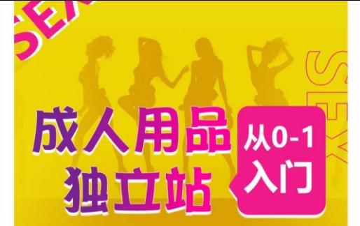 成人用品独立站从0-1入门,成品独立站运营全流程教学,七大好卖成品独立站推荐插图 成人用品独立站从0-1入门,成品独立站运营全流程教学,七大好卖成品独立站推荐