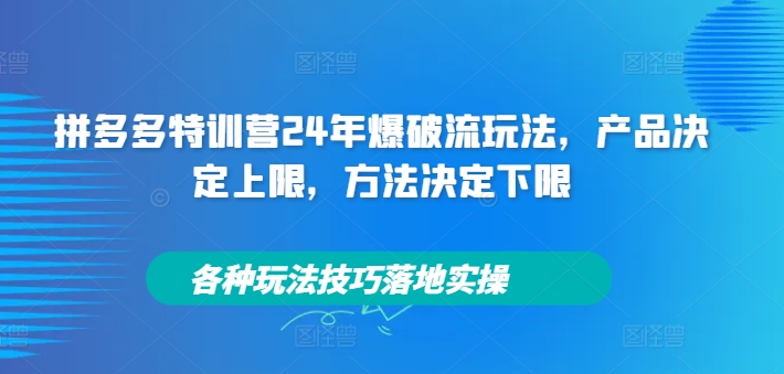 拼多多特训营24年爆破流玩法,产品决定上限,方法决定下限,各种玩法技巧落地实操插图 拼多多特训营24年爆破流玩法,产品决定上限,方法决定下限,各种玩法技巧落地实操